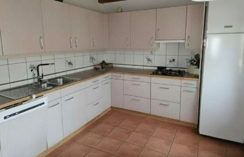 Küche mit Eckarbeitsfläche