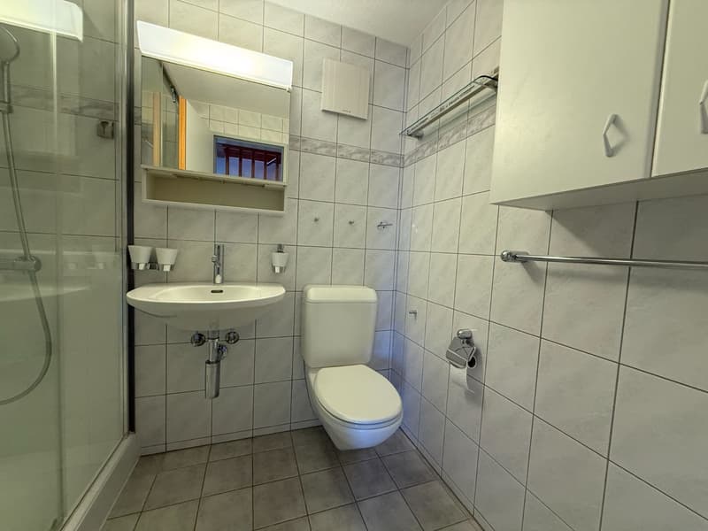 Nasszelle mit Dusche
