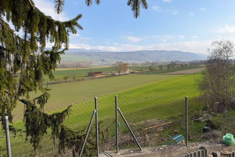 Aussicht ins Grüne