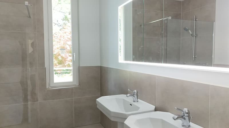 Appartement rénové avec cheminée, 2 terrasses et jardin ornemental - Bruderholz (8)