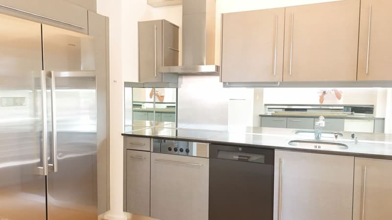 Appartement rénové avec cheminée, 2 terrasses et jardin ornemental - Bruderholz (7)