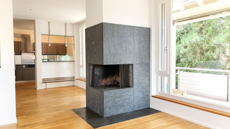 Appartement rénové avec cheminée, 2 terrasses et jardin ornemental - Bruderholz (6)