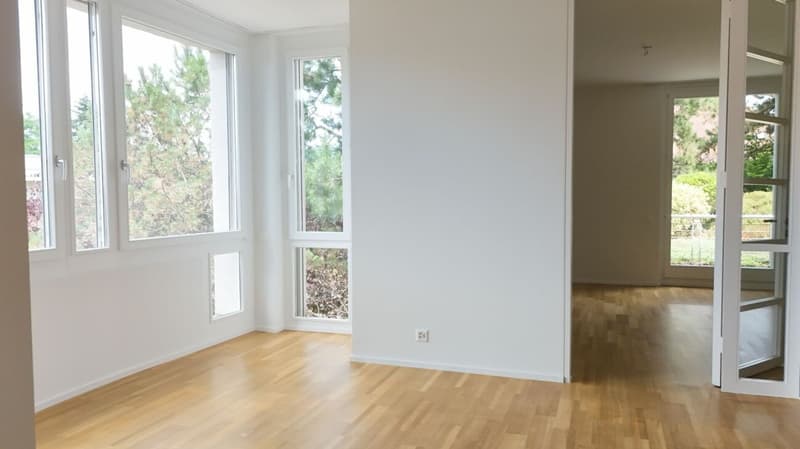 Appartement rénové avec cheminée, 2 terrasses et jardin ornemental - Bruderholz (5)