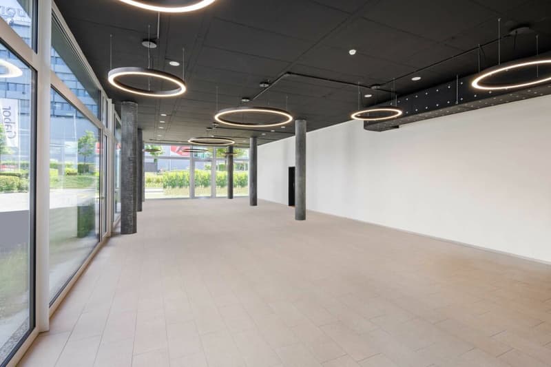 Espace de bureau/cabinet de haute qualité avec excellente connexion - Spreitenbach (2)