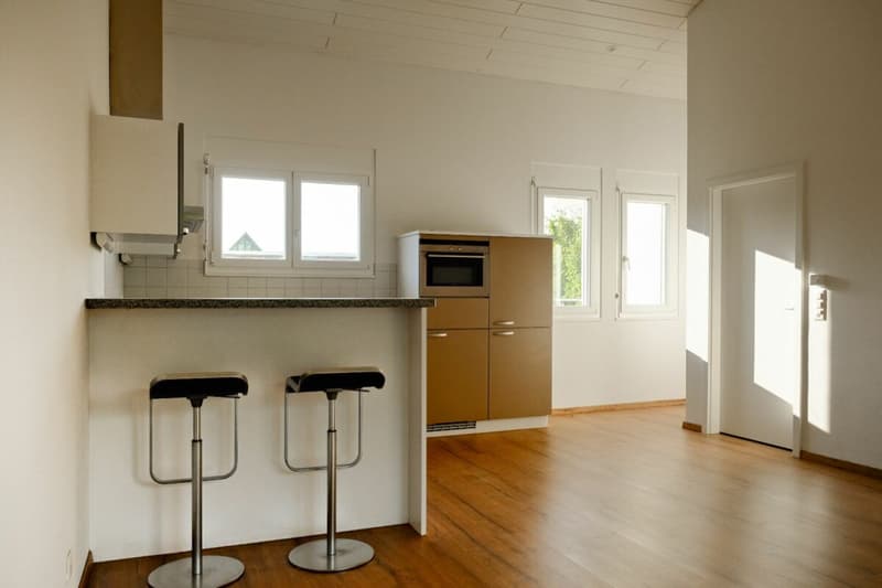 Charming 2.5-room apartment with a view of the greenery in Aesch BL (3)
