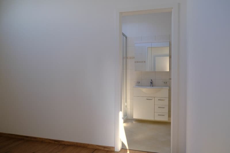 Charming 2.5-room apartment with a view of the greenery in Aesch BL (15)