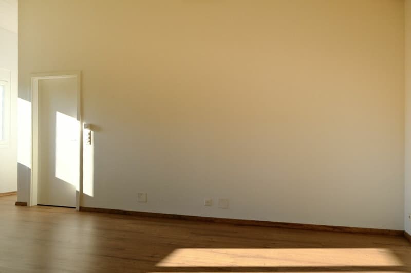 Charming 2.5-room apartment with a view of the greenery in Aesch BL (4)
