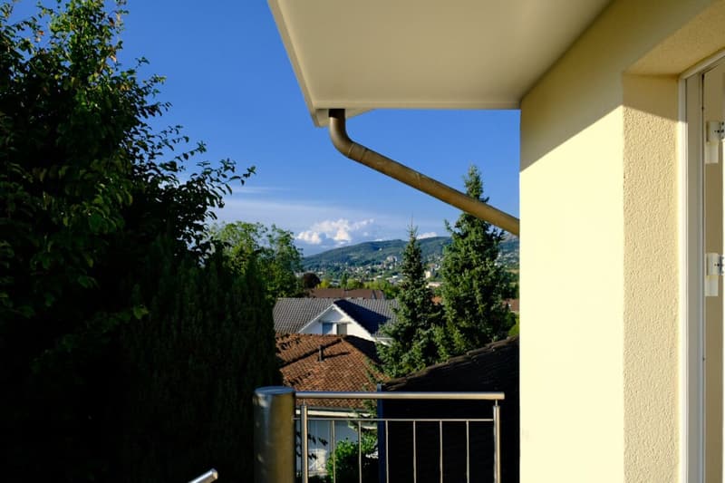 Charming 2.5-room apartment with a view of the greenery in Aesch BL (11)
