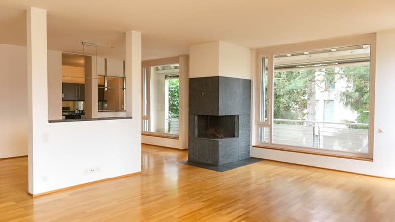 Appartamento di giardino esclusivo con camino & 2 terrazze - Bruderholz (1)