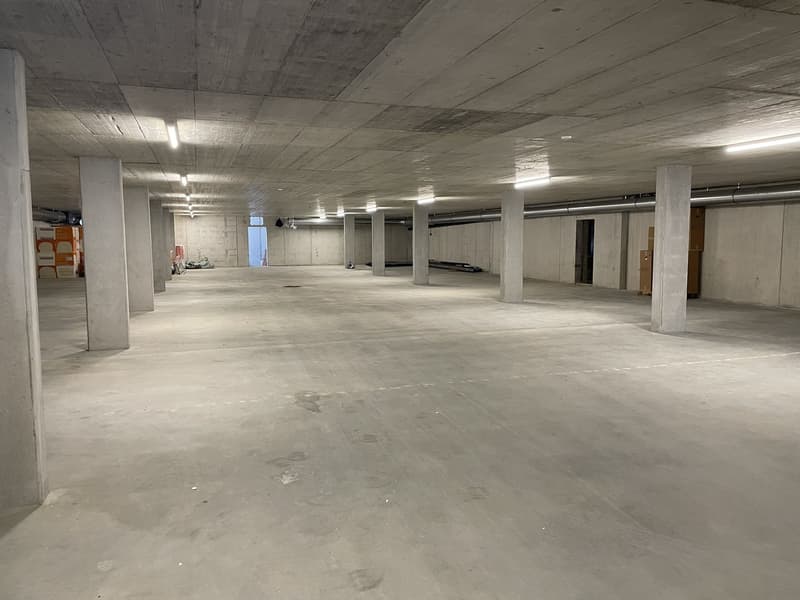 Appartement moderne de 4,5 pièces au 1er étage dans un quartier calme à Lommiswil - Première location (25)