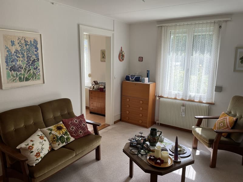 large couch, wooden cabinet, table, coffee table, radiator, window with curtains, paintings