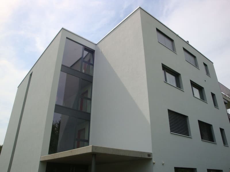 Appartement spécial de 4,5 pièces au 1er étage (9)