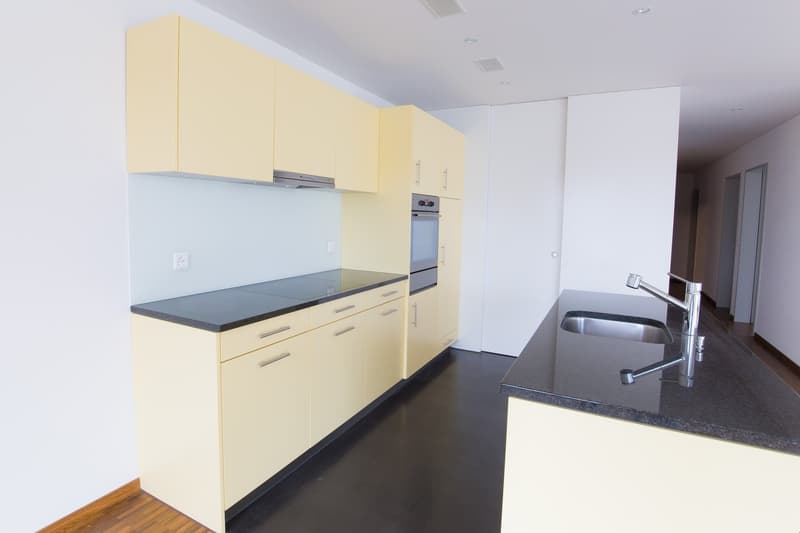 Appartement spécial de 4,5 pièces au 1er étage (3)