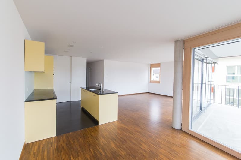 Appartement spécial de 4,5 pièces au 1er étage (4)
