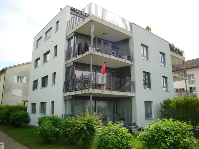 Attika-Wohnung mit Dachterrasse (1)