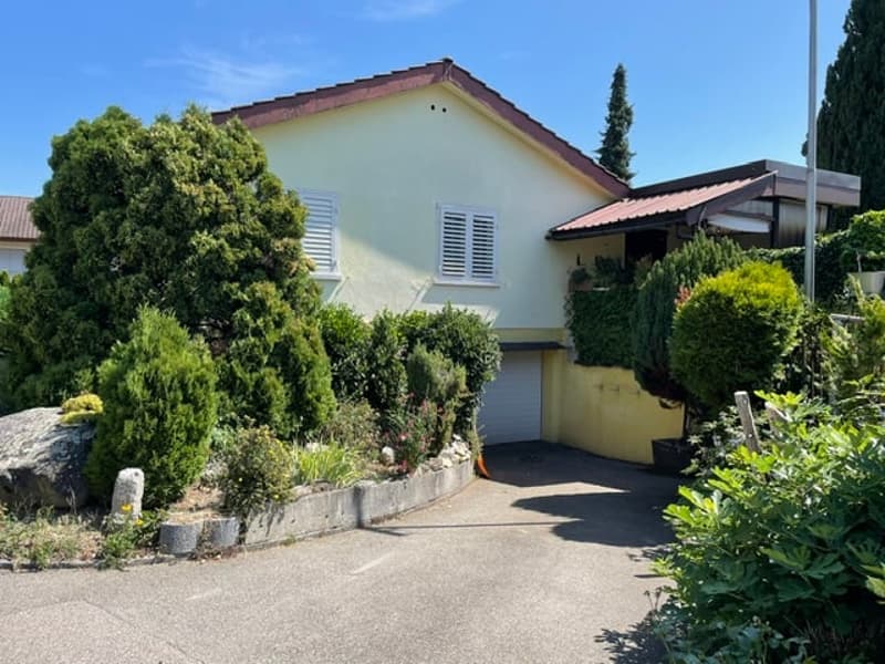 Freistehendes Einfamilienhaus (2)
