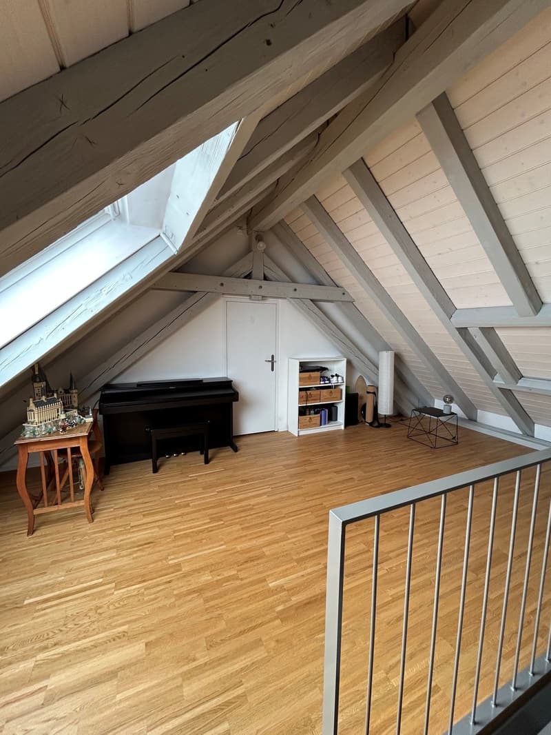 Über den Dächern der Altstadt (11)