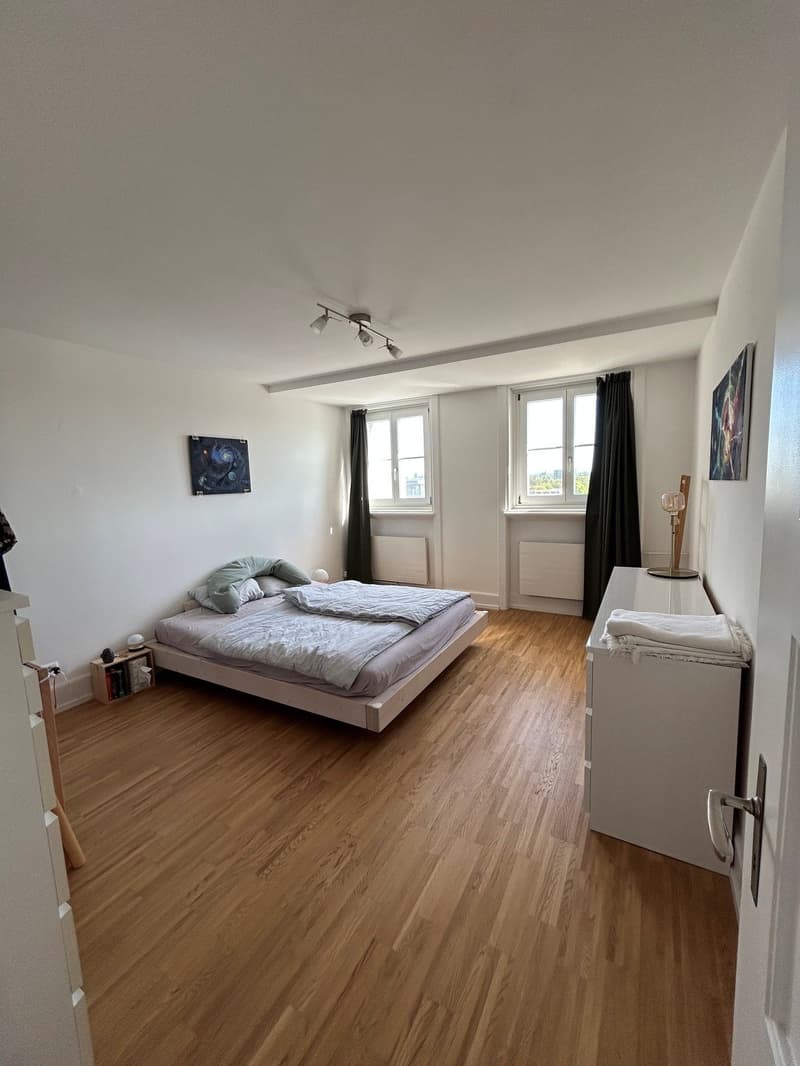 Über den Dächern der Altstadt (7)
