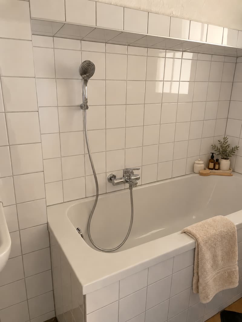 Charmante, frisch renovierte 3.5-Zimmer-Wohnung an der Hauptgasse in Solothurn (12)