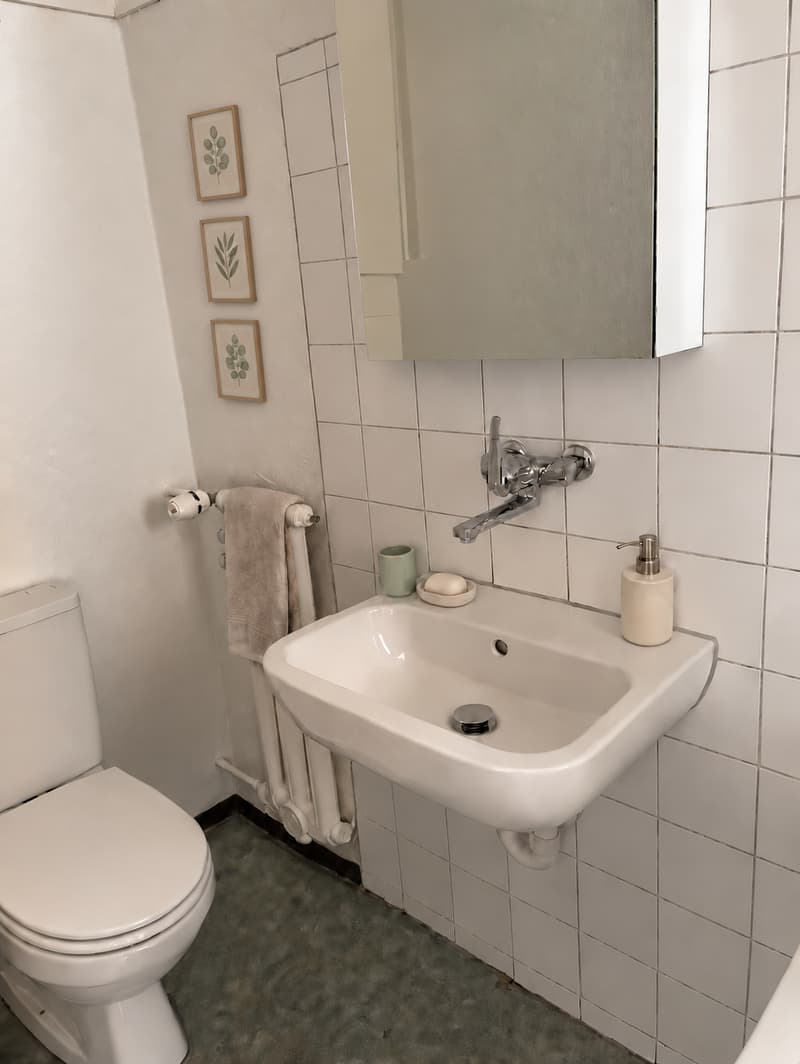 Charmante, frisch renovierte 3.5-Zimmer-Wohnung an der Hauptgasse in Solothurn (11)