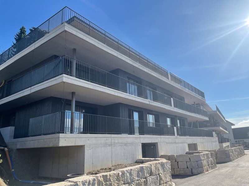 Neue und exklusive 4.5-Zimmer-Duplex-Attikawohnung - Wohnen wie im Einfamilienhaus (4)