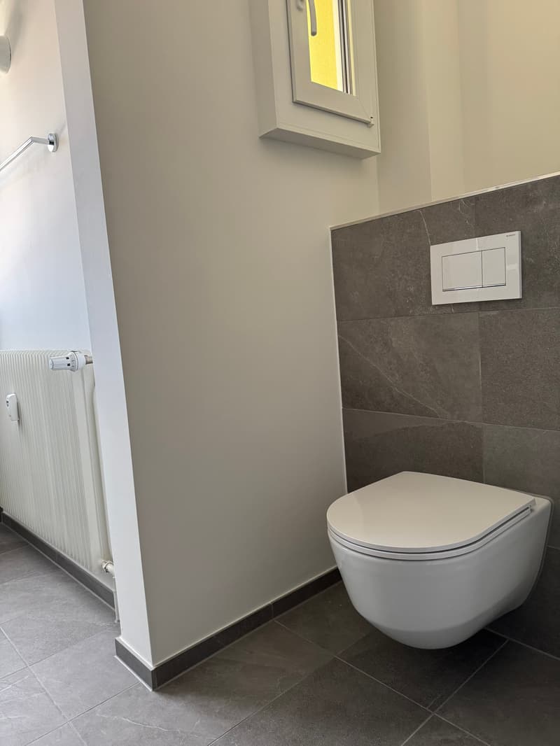 Charming 5-room maisonette apartment in a quiet neighborhood street in Basel (5)