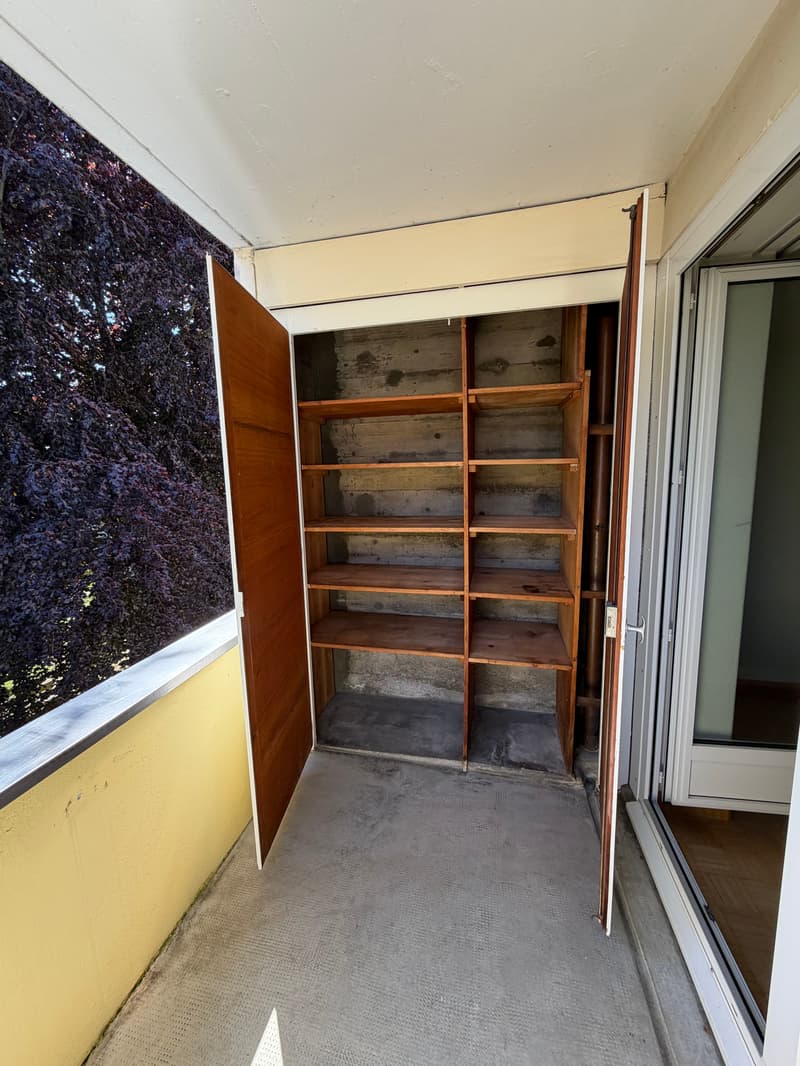 Appartamento accogliente di 3,5 locali nel cuore di Arlesheim (8)