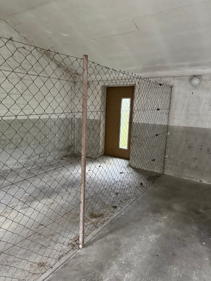 Noleggiamo un box garage a Riehen (2)