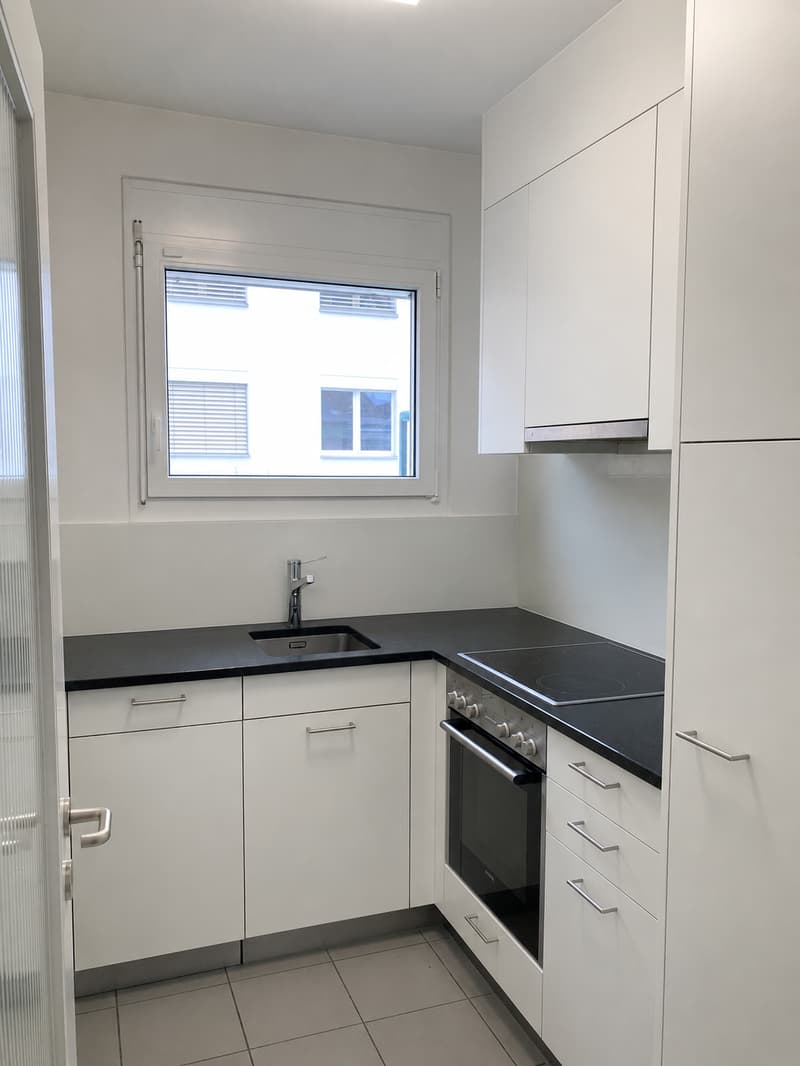 1-room apartment near Kleinbasel old town at Wettsteinplatz (3)