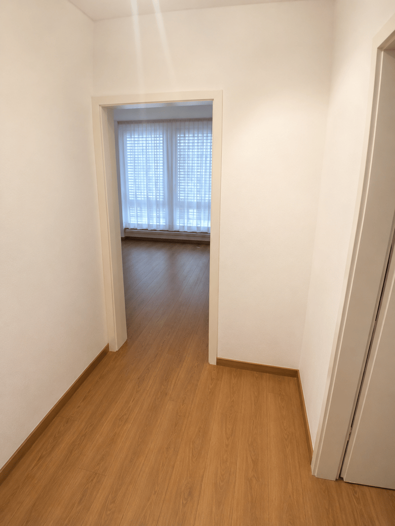Appartamento monostanza in buona posizione vicino alla stazione SBB con balcone (2)
