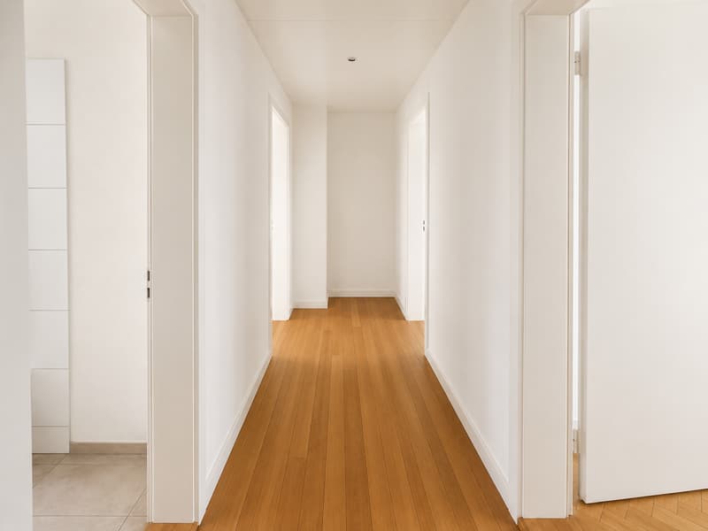 Appartement exceptionnel de 2 pièces avec parquet en point de Hongrie et balcon à Bâle (4)
