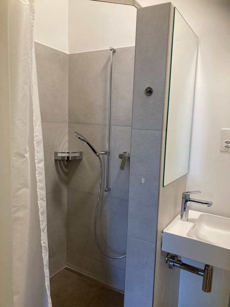Appartement lumineux 2.5 pièces à Gundeli, Bâle (6)