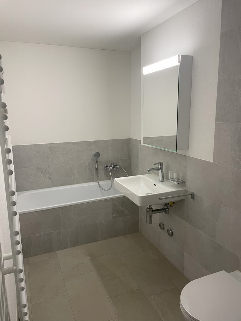 Schöne 3-Zimmerwohnung beim idyllischen Reiterhof Galms an erhöhter Lage (2)