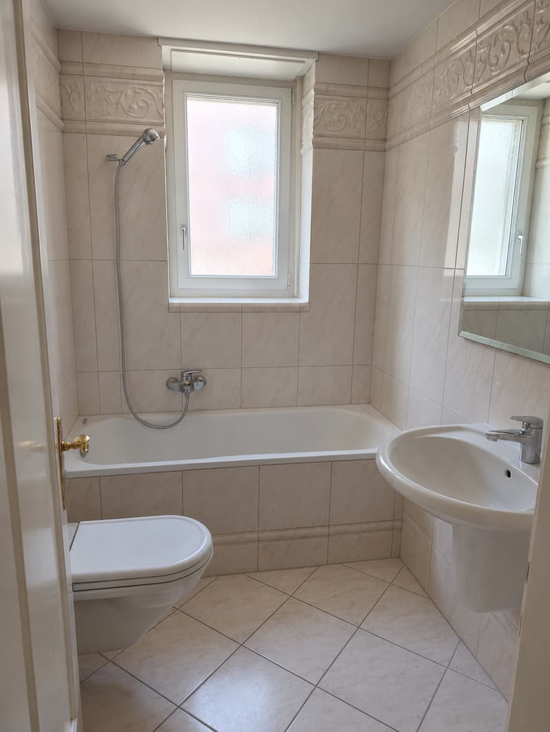Charmant appartement 2 pièces avec balcon à Bâle (3)