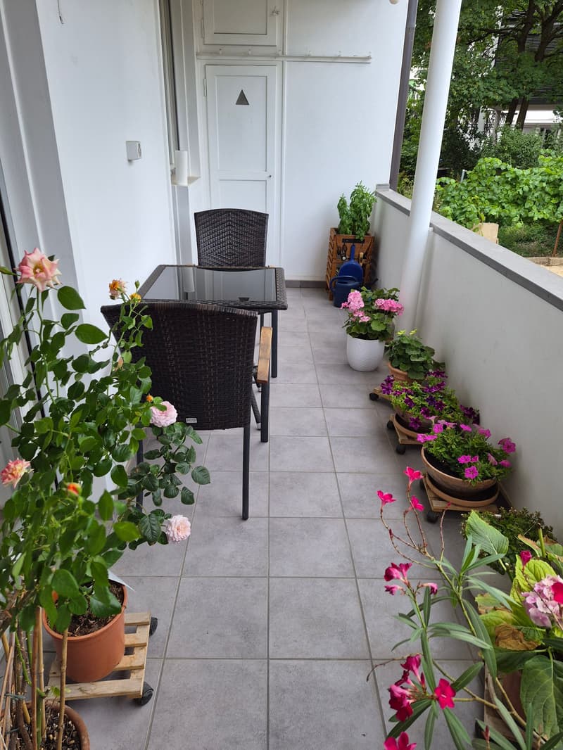Charmant appartement 2 pièces avec balcon à Bâle (6)