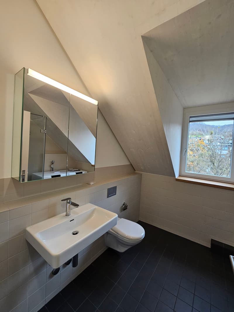 Erstvermietung - moderne 2.5-Zimmer Dachwohnung mit Laubenbalkon in Sissach (7)