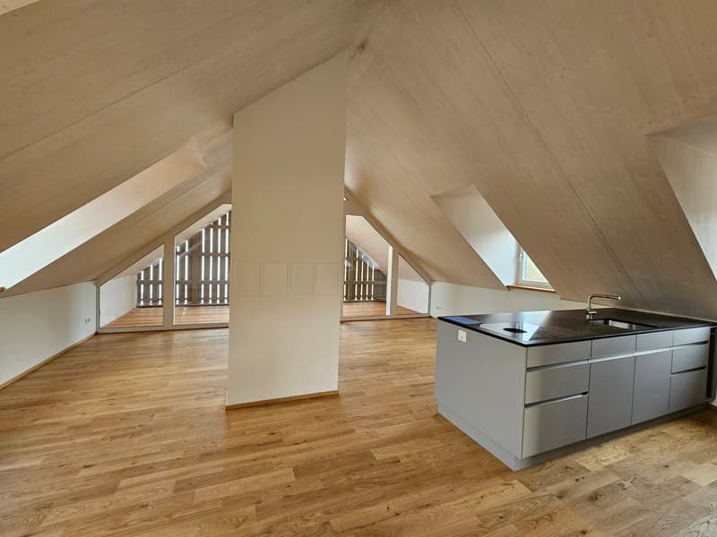 Erstvermietung - moderne 2.5-Zimmer Dachwohnung mit Laubenbalkon in Sissach (2)