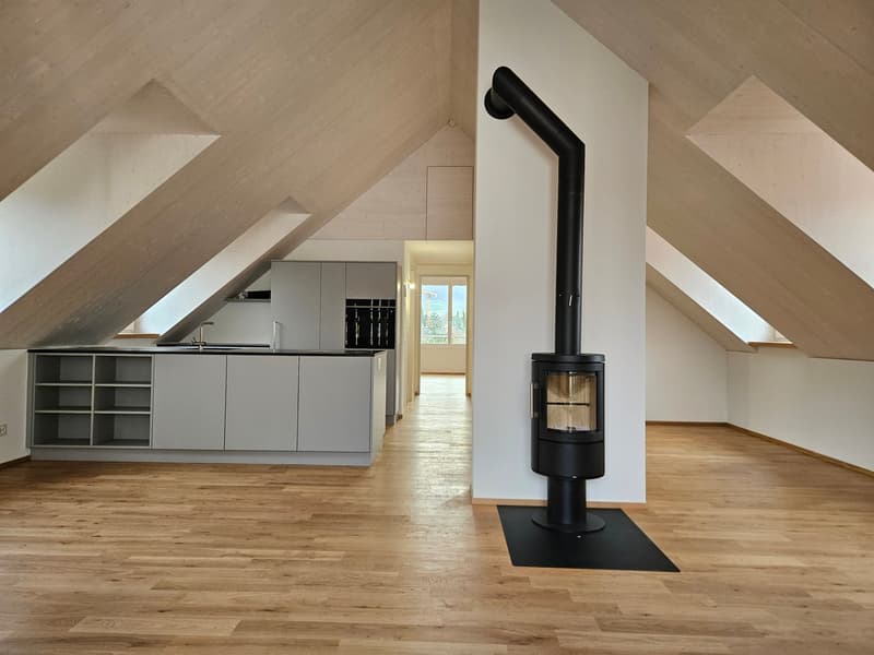 Erstvermietung - moderne 2.5-Zimmer Dachwohnung mit Laubenbalkon in Sissach (1)