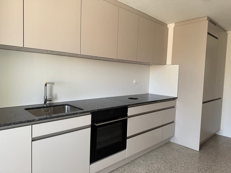 Affascinante appartamento maisonette di 5 locali in una strada di quartiere tranquilla a Basilea (2)