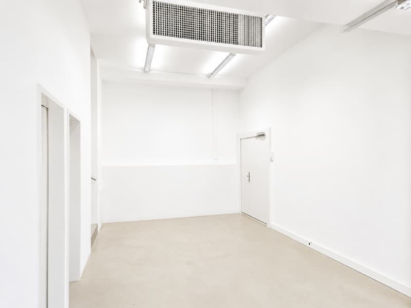 Versatile studio for quiet business (6)