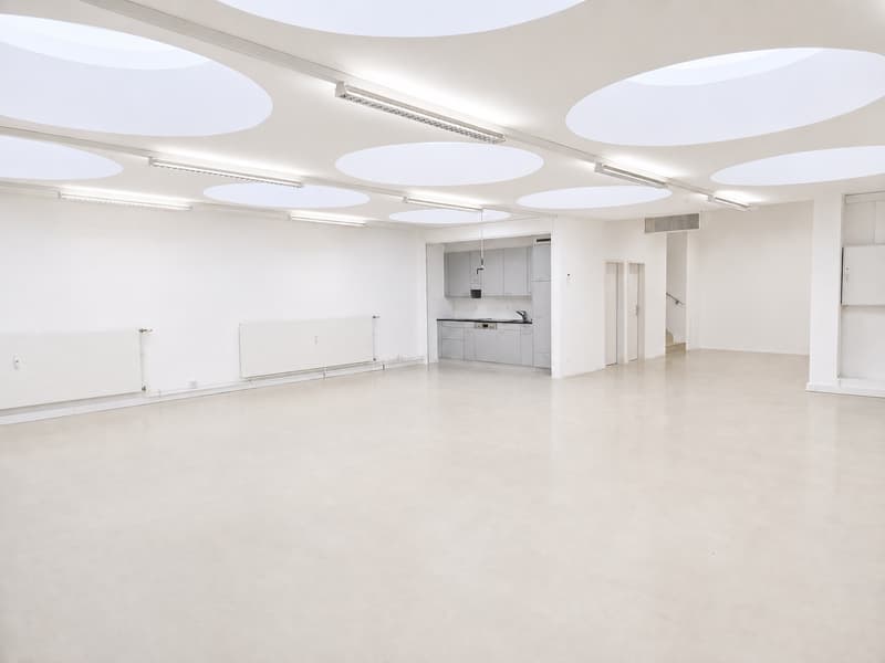 Versatile studio for quiet business (2)