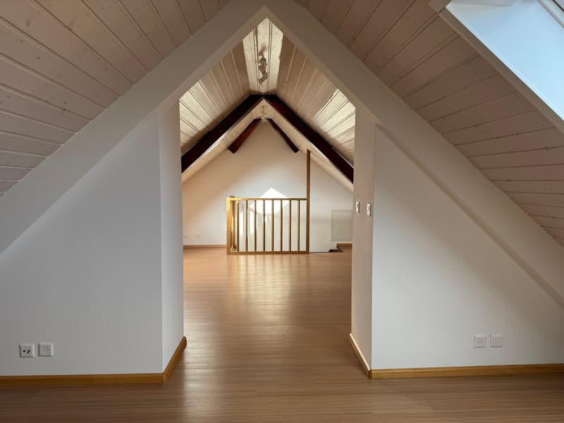 Charmante 4.5-Zimmer-Maisonette-Wohnung an ruhiger Quartierstrasse in Basel (14)