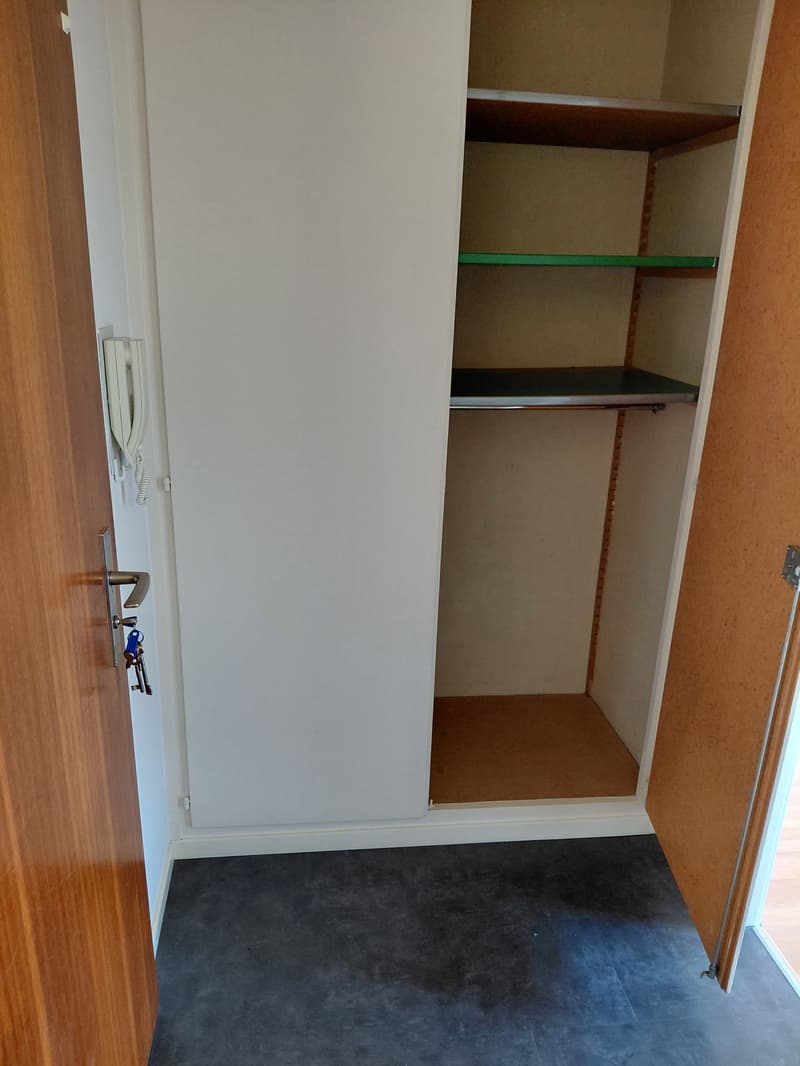 Helle 1-Zimmer-Wohnung mit gedecktem Balkon in Basel (4)