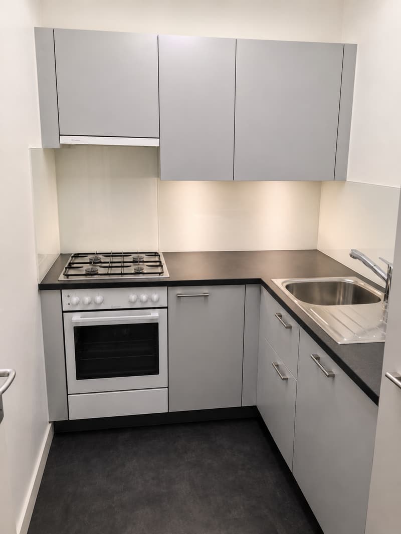 Helle 1-Zimmer-Wohnung mit gedecktem Balkon in Basel (5)