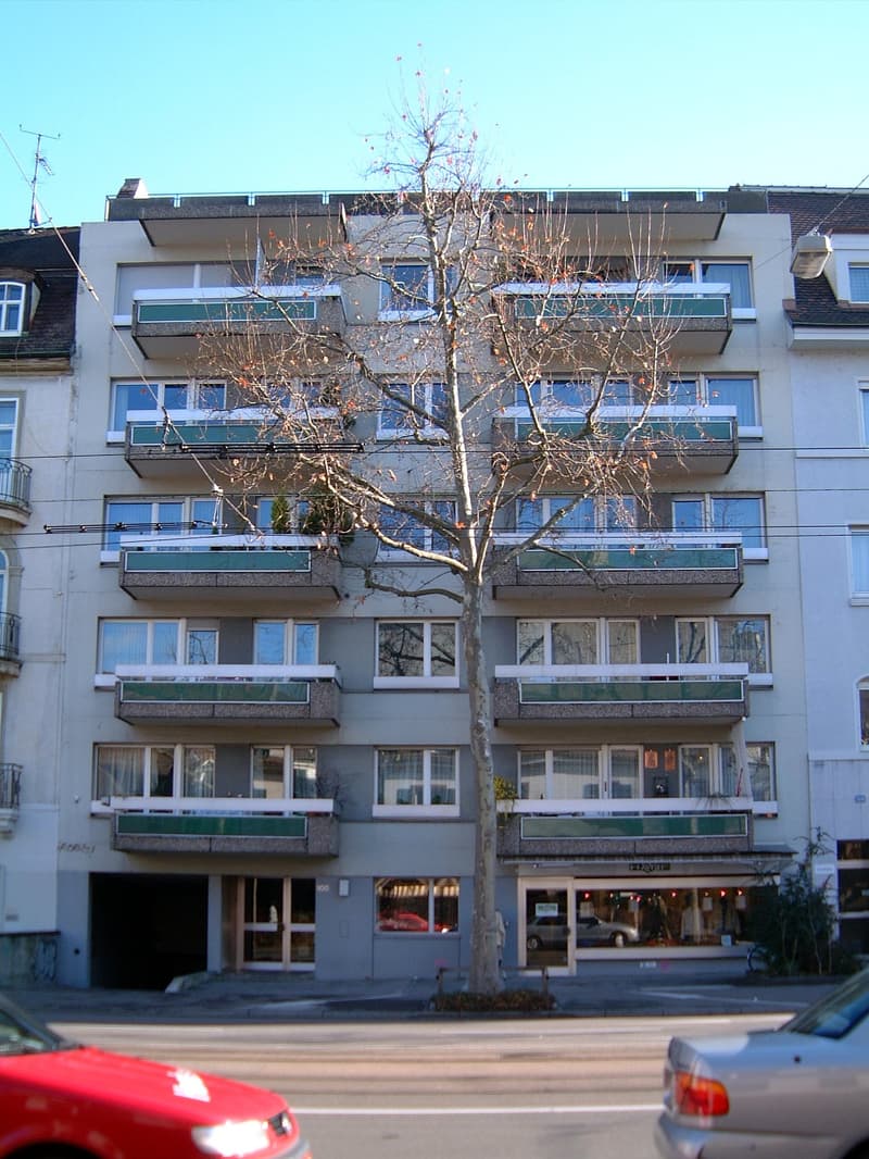 Helle 1-Zimmer-Wohnung mit gedecktem Balkon in Basel (11)