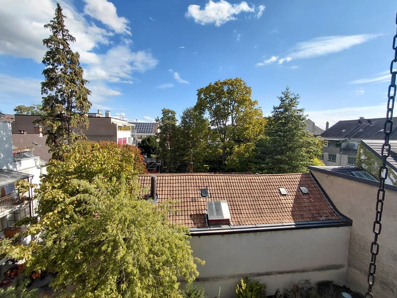Helle 1-Zimmer-Wohnung mit gedecktem Balkon in Basel (8)