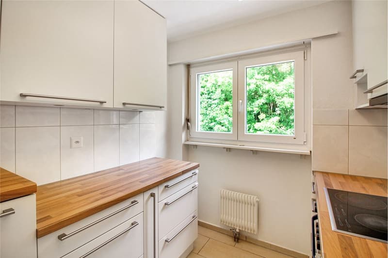 4½ Zimmer Eigentumswohnung mit Balkon an idyllischer Waldrandlage (2)