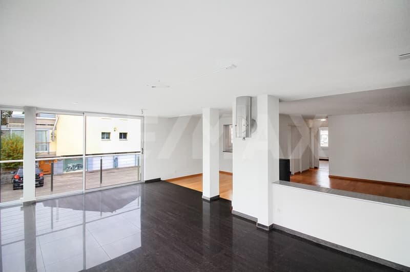4.5-room apartment with winter garden and communal lawn (2)