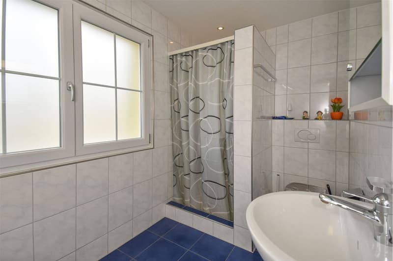 5½ room single-family house; modern and attractive; with heat pump and PV system. (4)