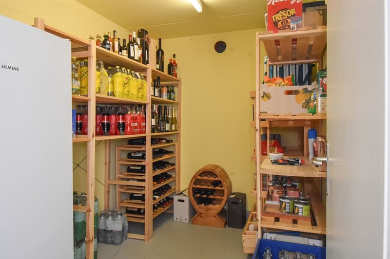 5½ room single-family house; modern and attractive; with heat pump and PV system. (13)
